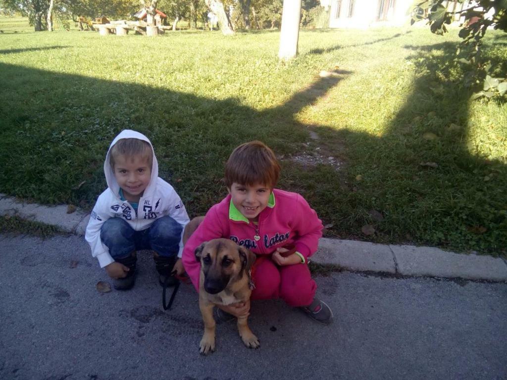 Janezinovi House Pension Ratecevo Brdo Buitenkant foto